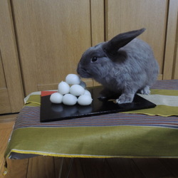 「4か月です」サムネイル3