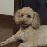 の写真