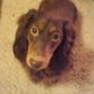 チョコタンのカニヘンダックスです。