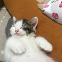 母と息子