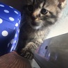 らい君