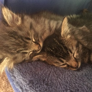 元気いっぱいの男の子と女の子です！