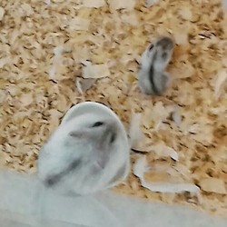 生後11日、初めての冒険！