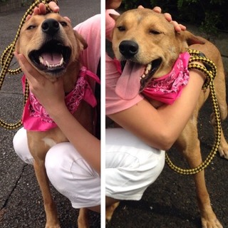 この子を助けてください