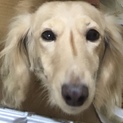 助けてください。お願いします。