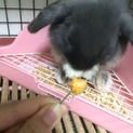 【問い合わせ多数の為募集一時停止】