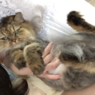 たくさんのご応募ありがとうございました