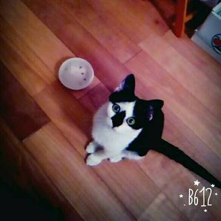 生後4ヶ月の女の子です