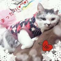 バロン