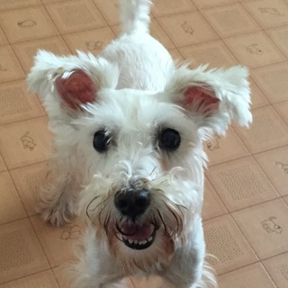 人懐っこくパワフルな女の子♪