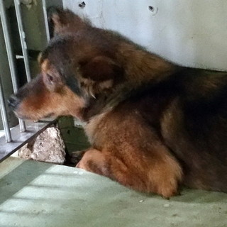 団体で保護しました！！