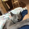だっこでぐでんぐでんに寝てます、