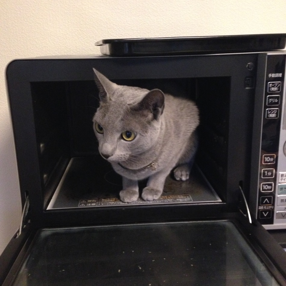 ソロのカバー写真