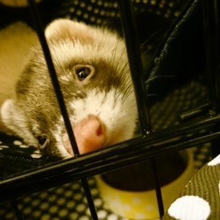 優しい方募集です！