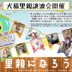 10月4日恵比寿譲渡会開催！！