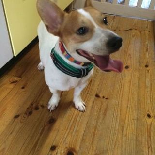 トオル（♂）くん