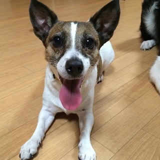 ナオミ（♀）ちゃん