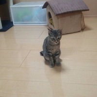 ぽんず