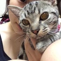 千里