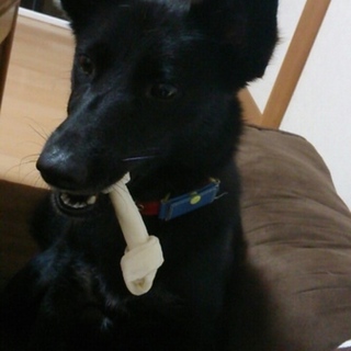 赤い糸を探しています(๑´ω`๑)