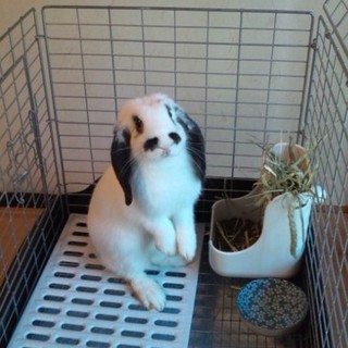 たくさんのご応募有り難うございました！