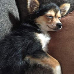 「3日目」サムネイル1