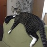 の写真