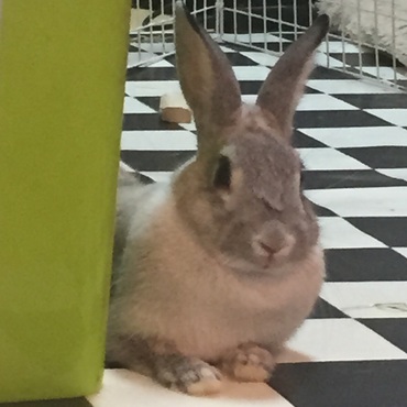 じーー