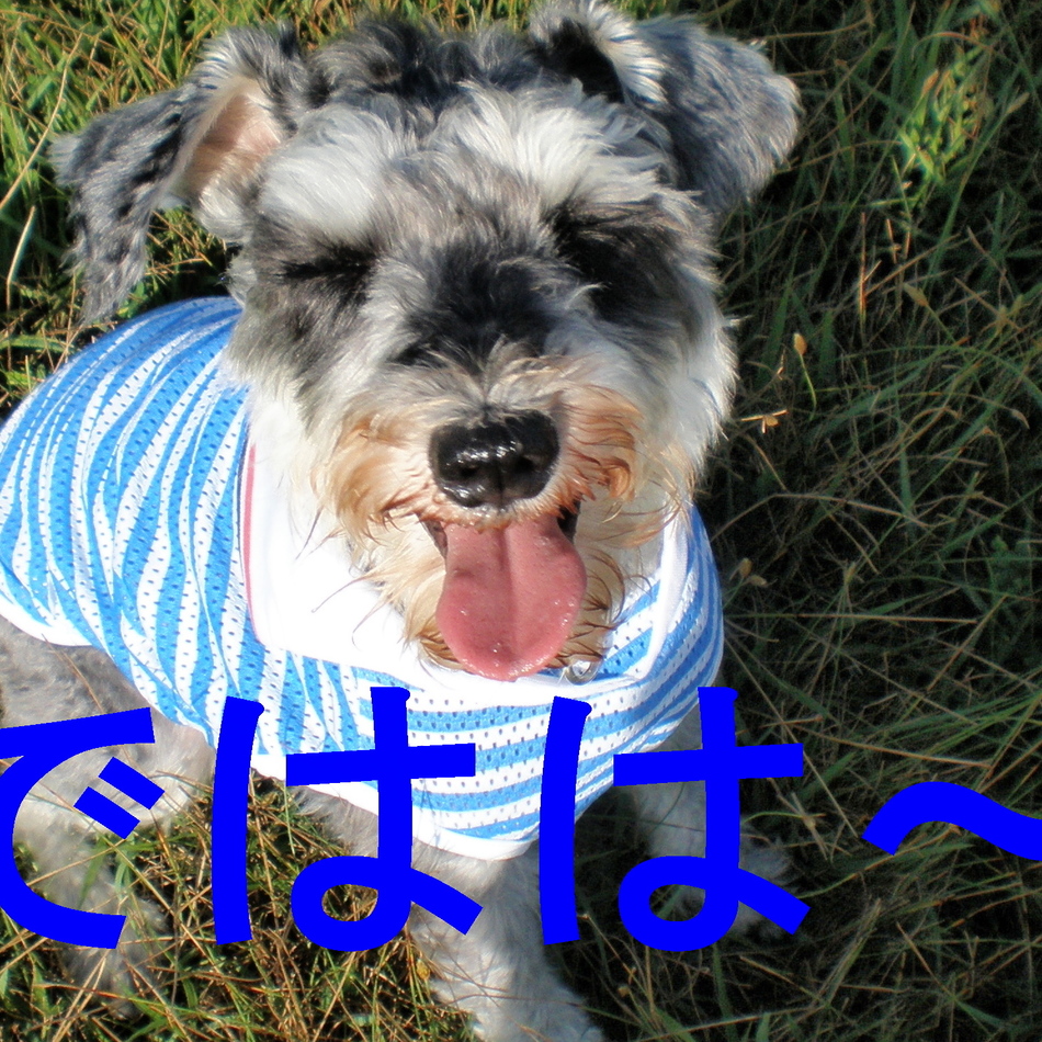 ケンケン   のカバー写真