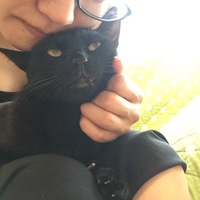 モカ