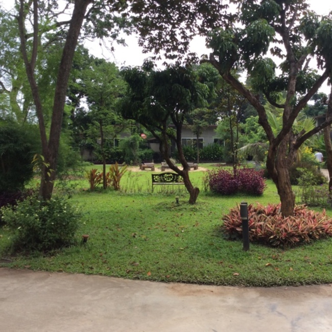 Konomiのカバー写真