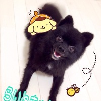 ライト