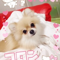 コロン