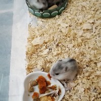 黎門（れもん）