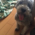 ありがとうございましたm(_ _)m