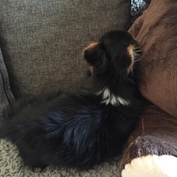 「4日目」サムネイル1