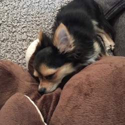 「4日目」サムネイル2