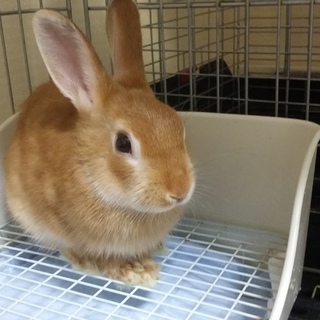 ありがとうございました！