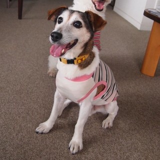 ジョン（♂）くん