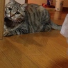 の写真