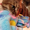 の写真
