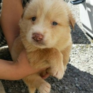 素敵な家族が見つかりました！