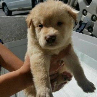 素敵な家族が見つかりました！