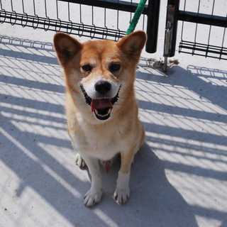 いっぱい甘えたいんだ♪