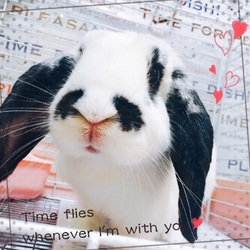 里親させて頂きました⭐︎