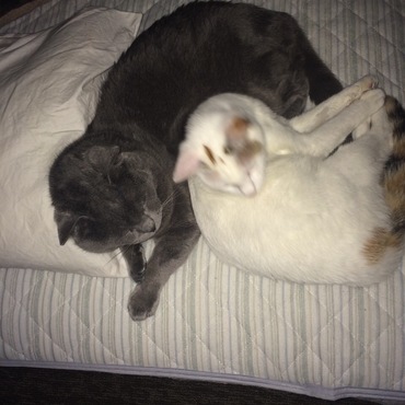 メリーちゃんとはすっかり仲良しさんです