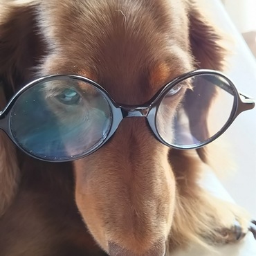 お父さんの老眼鏡かけてみました♪