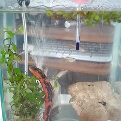 不思議な同居風景…