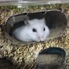 かたまってんのかな？笑   