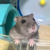 もう慣れたねぇ(^ ^)